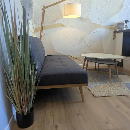 Apartment Calme Serenite Et Lumiere Grenoble